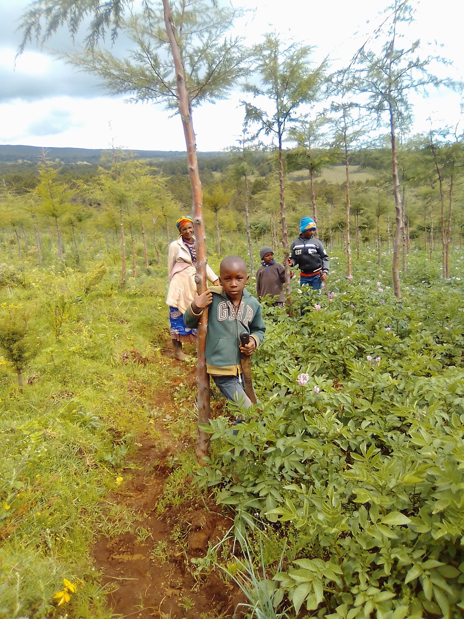 Kenya climate project opportunity